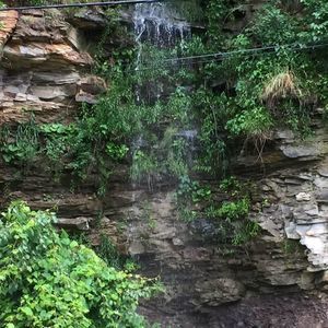 Meet your Posher, Carla